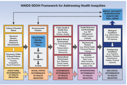 Box and Arrow model to illustrate the The NINDS Social Determinants of Health Framework for Addressing Health Inequitie