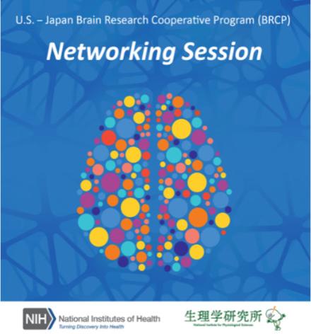 US Japan BRCP Networking Session Multi-colored brain flyer