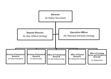 National Institute of Neurological Disorders and Stroke Organizational Chart - Director, Dr. Walter Koroshetz; Deputy Director, Dr. Alan Willard (Acting); Executive Officer, Ms. Maryann Sofranko (Acting); Division of Extramural Research, Dr. Robert Finkel