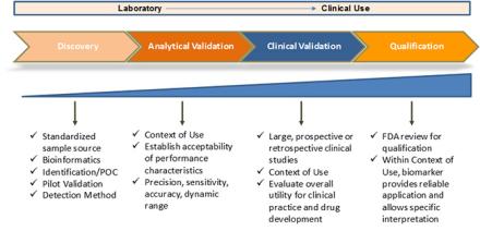 The Biomarker Development Process diagram