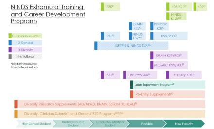 NINDS Extramural Training and Career Development Programs