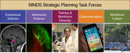 NINDS Strategic Planning Task Forces- Extramural Science, Intramural Science, Training & Workforce Development, Communications, Workforce Culture