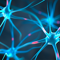 neuronal communication