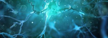 Image of brain circuits. Vascular Contributions to Cognitive Impairment & Dementia (VCID) banner image