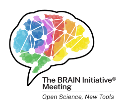 Side view of a brain schematic in seven colors with nodes and connections outlined. 