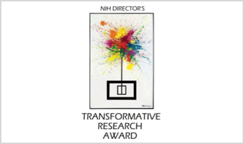 icon of NIH Director's Transformative Research Award