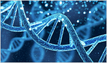 DNA helix