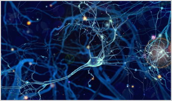 neuronal communication