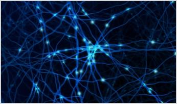 neuronal communication