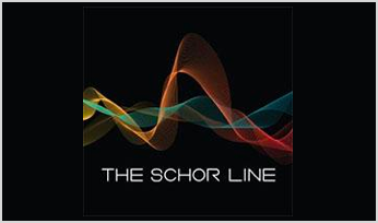 Brainwaves with text "the Schor line"