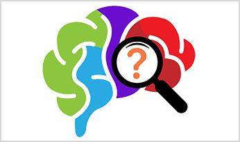 Brain Basics logo multi-colored human brain with question mark inside of magnifying glass