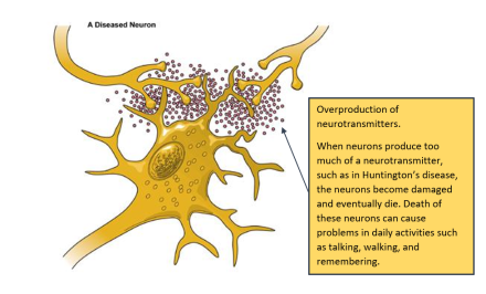 Overproduction of neurotransmitters: When neurons produce too much of a neurotransmitter, such as in Huntington’s disease, the neurons become damaged and eventually die. Death of these neurons can cause problems in daily activities such as talking, walking, and remembering.
