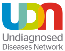 UDN Logo