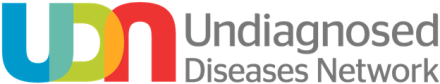 UDN Logo