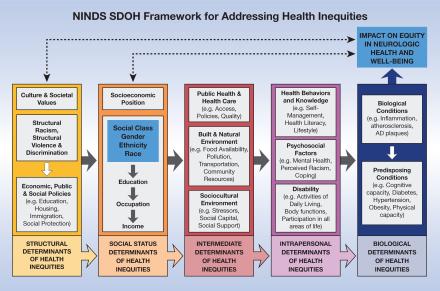 NINDS Social Determinants of Health (SDOH) Framework for Addressing Health Inequities 