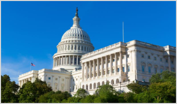 US Congress Capitol building in Washington DC during a sunlight day