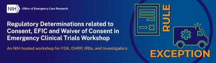 EFIC Workshop Logo