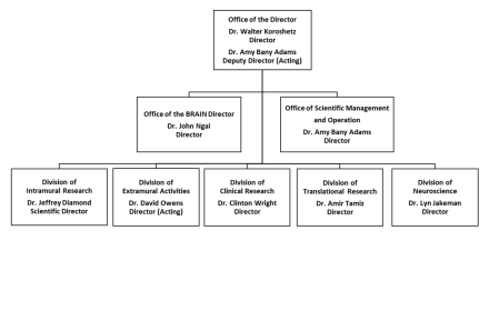 NINDS Organizational Chart