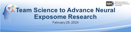 Banner image for Neural Exposome Team Science workshop