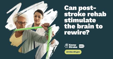 Poster encouraging viewers to the research conducted by NINDS, such as studying whether post-stroke rehabilitation can stimulate the brain to rewire.
