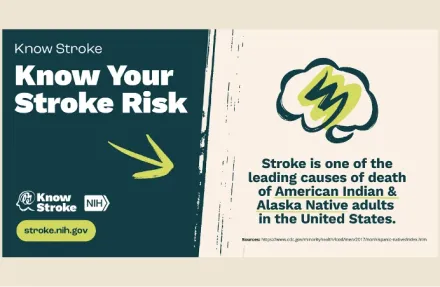 Know Stroke Risk infographic encourages knowing your risk by explaining that stroke is one of the leading causes of death for American Indian and Alaska Native people.