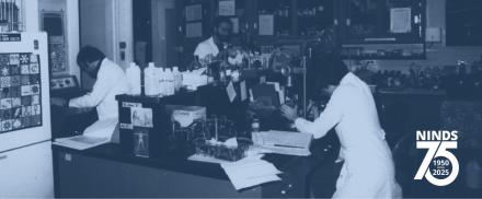 Vintage lab scene with 3 researchers in white coats working at benches with glassware and equipment. 'NINDS 75, 1950-2025' logo in corner.