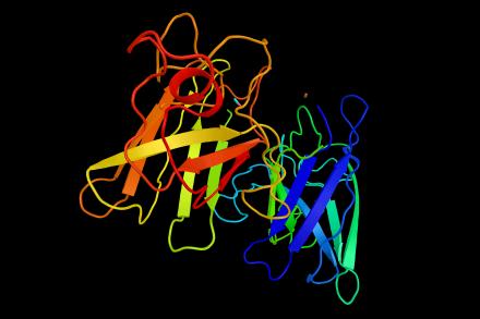 Colorful three-dimensional rendering of the molecular structure of a superoxide dismutase 1 protein, showing a complex spaghetti-like arrangement of intertwined bands and strands.