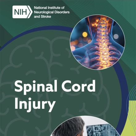 Spinal Cord Injury Publication Cover Image