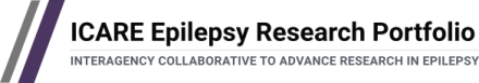 Logo with purple and gray diagonal lines and text "ICARE Epilepsy Research Portfolio."