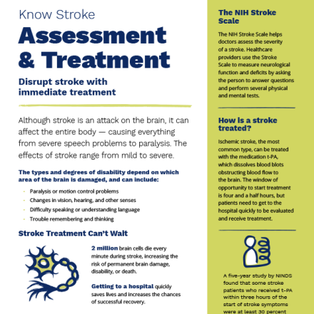 Know Stroke: Assessment & Treatment flyer