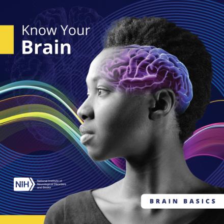 Know your brain publication cover page