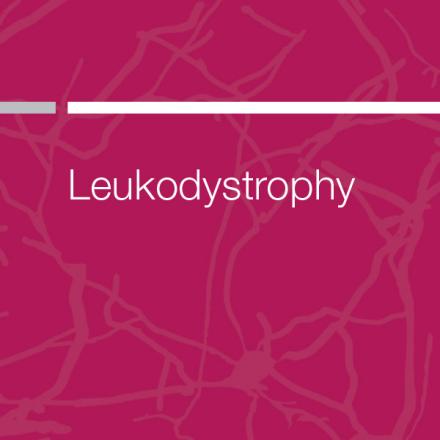 Leukodystrophy publication cover page