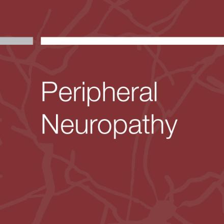 Peripheral Neuropathy Publication Cover Image