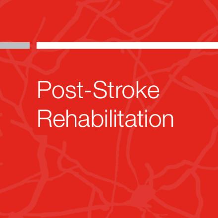 Post-Stroke Rehabilitation Publication Cover Image