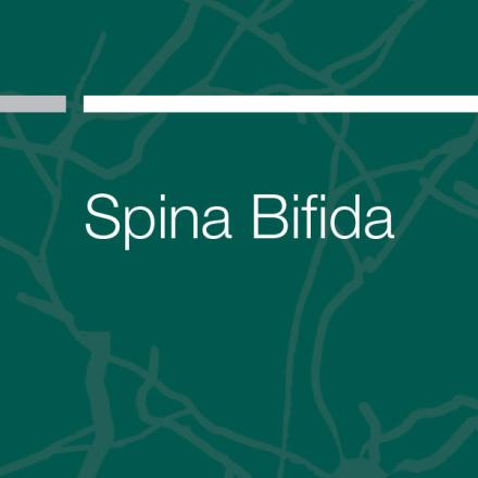 Spina Bifida Publication Cover Image