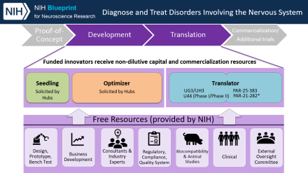 The overarching goal of the Blueprint MedTech program is to accelerate patient access to groundbreaking, safe, and effective medical devices. The program will provide support through two main components, Blueprint MedTech Incubator (Seedling and Optimizer) and Blueprint MedTech Translator. The Incubator Program supports early-stage development up to readiness for first-in-human. The Translator Program supports translational activities and clinical feasibility studies
