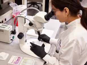 75th Anniversary SynOne - Women in a lab coat looks through microscope.