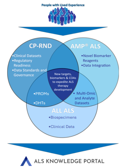 Venn diagram illustrating how CP-RND, AMP® ALS, and All ALS overlap to advance ALS research, centered on people with lived experience, with shared goals of developing new targets, biomarkers, and outcomes to speed therapy development. All data feeds into the ALS Knowledge Portal.