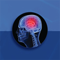 Profile of brain image inside skull