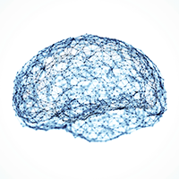 Abstract network of brain activity