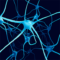 Parkinson's disease nerve cells