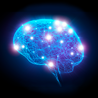 Brain glowing with activity
