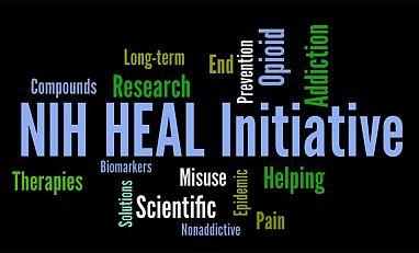 Word mash containing reference to the NIH HEAL initiative
