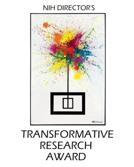 NIH Director's Transformative Research Award image