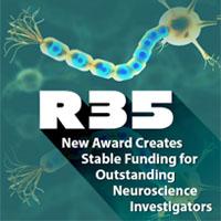 Research Program Award