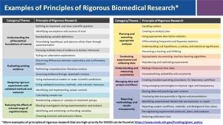 PowerPoint slide with principles of rigorous biomedical research organized by category or theme. For example, blinding and randomization are principles of rigorous research related to reducing the effects of cognitive biases. Additional examples can be found at http://www.ninds.nih.gov/Funding/grant_policy.