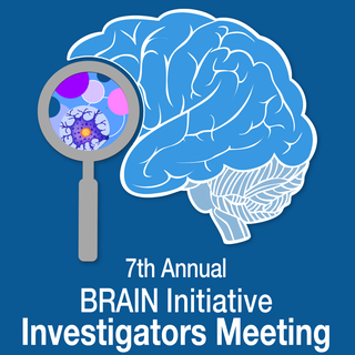 BRAIN Investigators Meeting logo