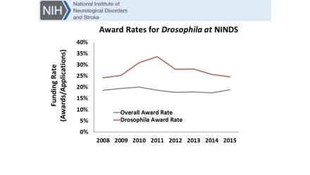 Graph of Award Rates for Drosophila at NINDS