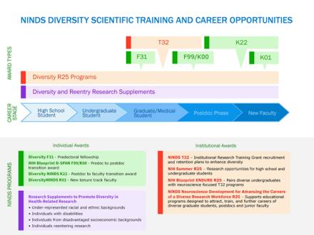 NINDS Diversity Scientific Training And Career Opportunities graphic