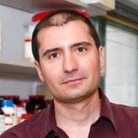 Photo of Bernardo Sabatini, Ph.D. 2019 Landis Award Winner